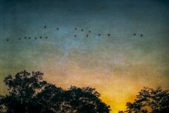 Cerulean Sunset